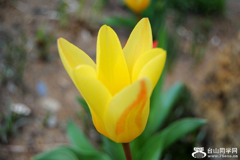 DSC_1184.JPG