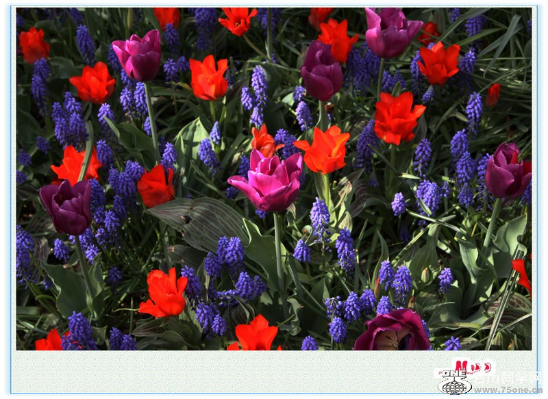 Ƭ 027.jpg