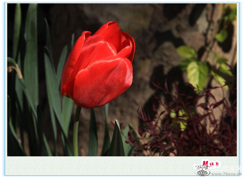 Ƭ 018.jpg