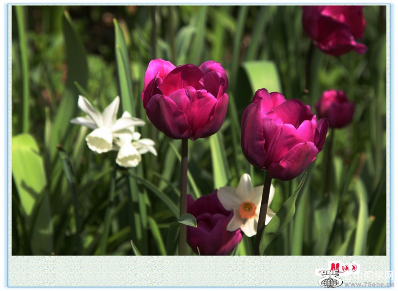 Ƭ 026.jpg