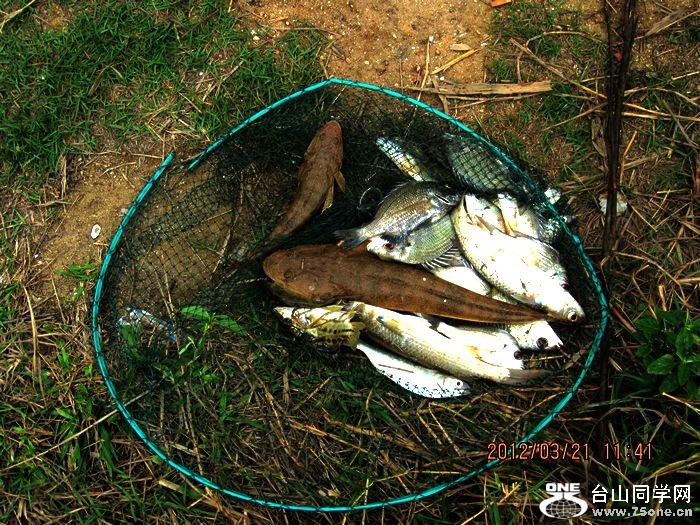 Ƭ 049.jpg