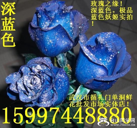 T2ws0bXlNaXXXXXXXX_!!1070799.jpg