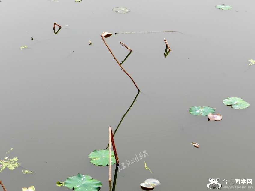 20120405԰ֺɻϾ 132_conew2.jpg