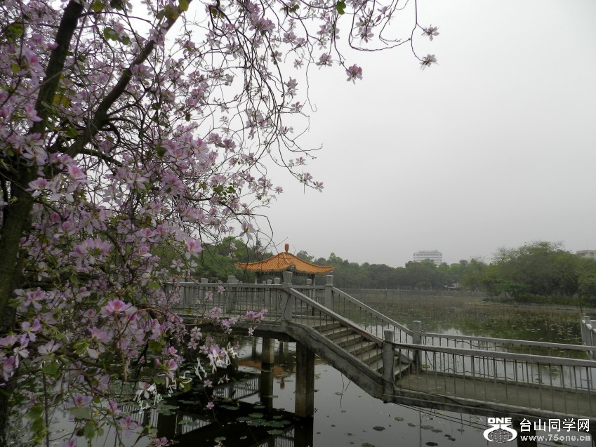 20120405԰ֺɻϾ 037_conew2.jpg