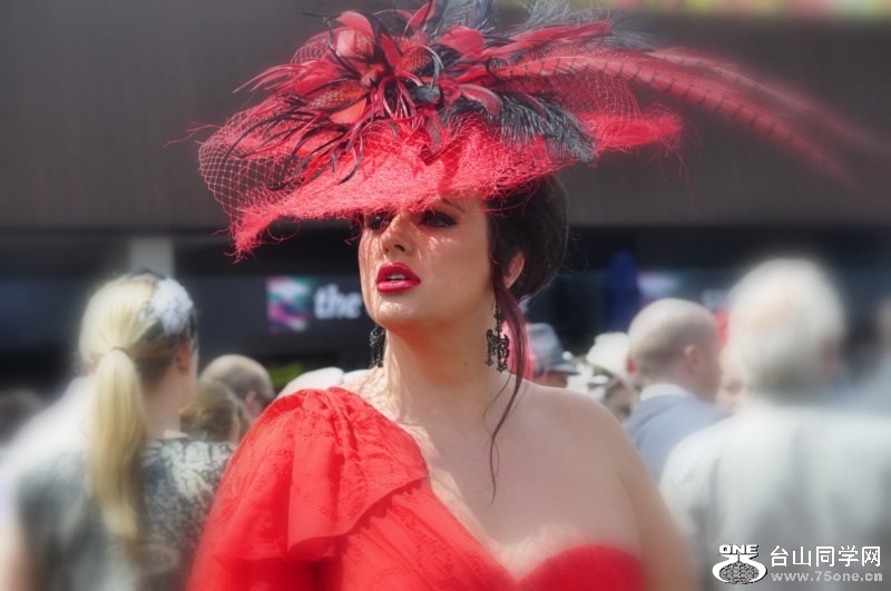 _DSC0131 [800x600].jpg