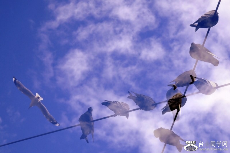 _CSC0028 [800x600].jpg