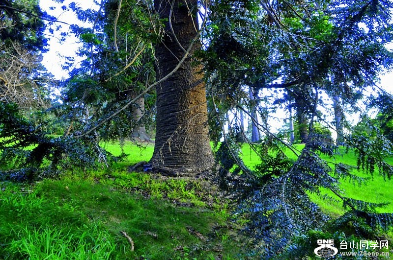 _DSC0125 [800x600].jpg