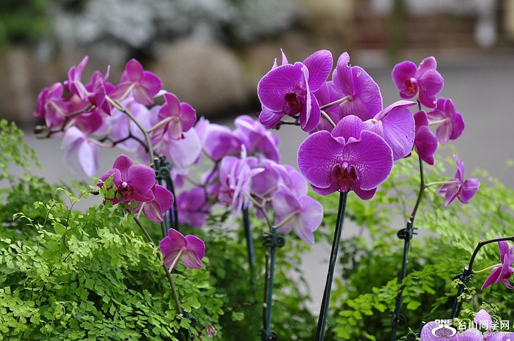 _DSC0703 [1024x768].jpg