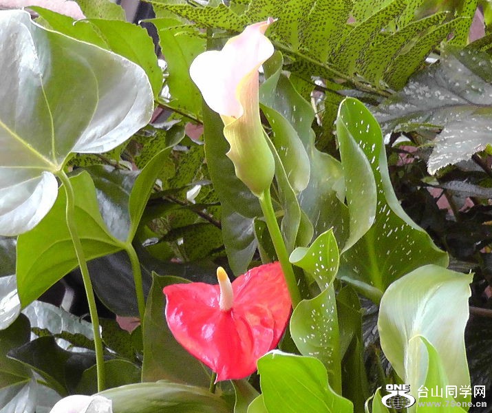 2012_040510057.JPG