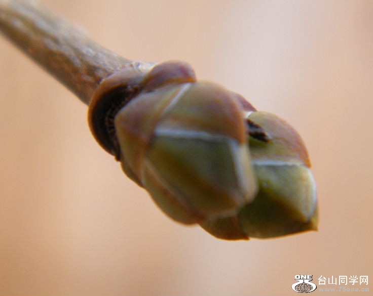 DSCF3087.JPG