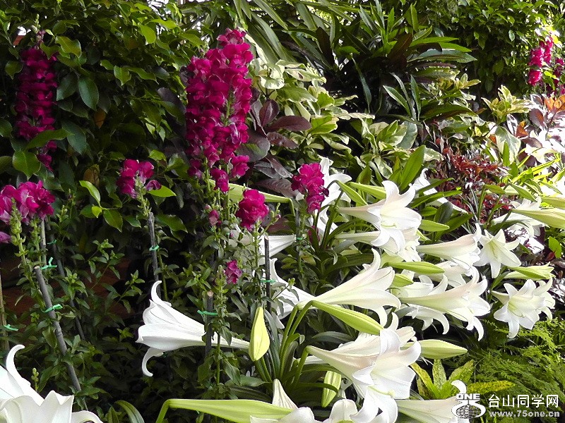 2012_040510047.JPG