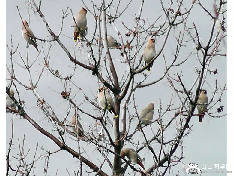 2012_040210105=0.jpg