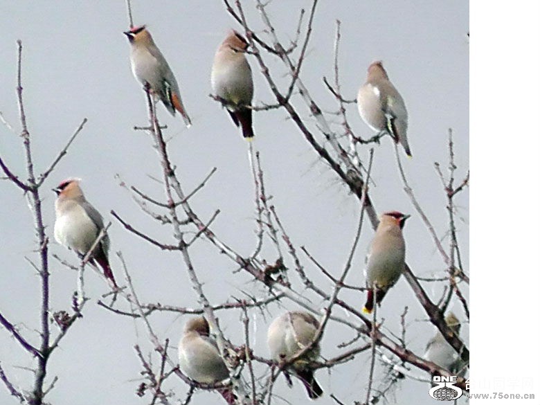 2012_040210109=1.jpg