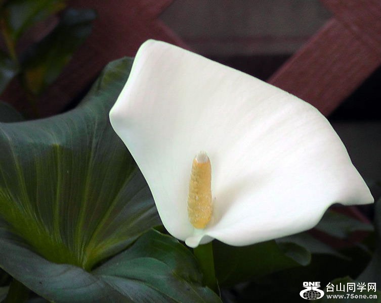 2012_040510058=.jpg