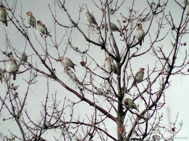 2012_040210109=.jpg