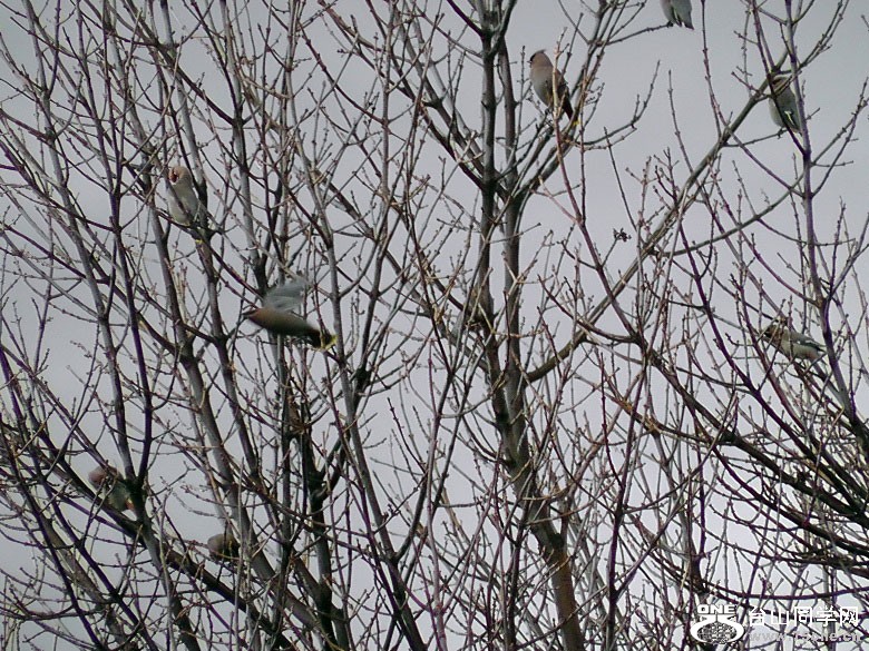 2012_040210110.JPG