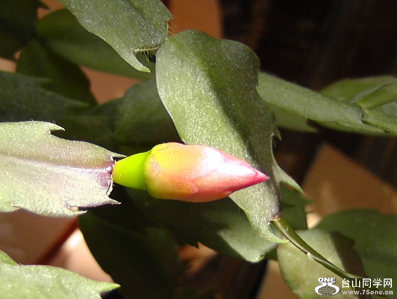 2012_040210072.JPG