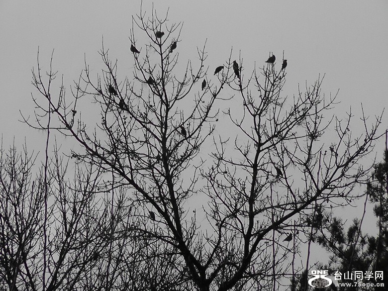 2012_040210097.JPG