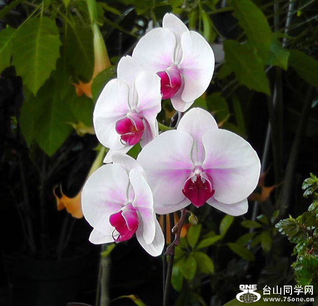 2012_040510029.JPG
