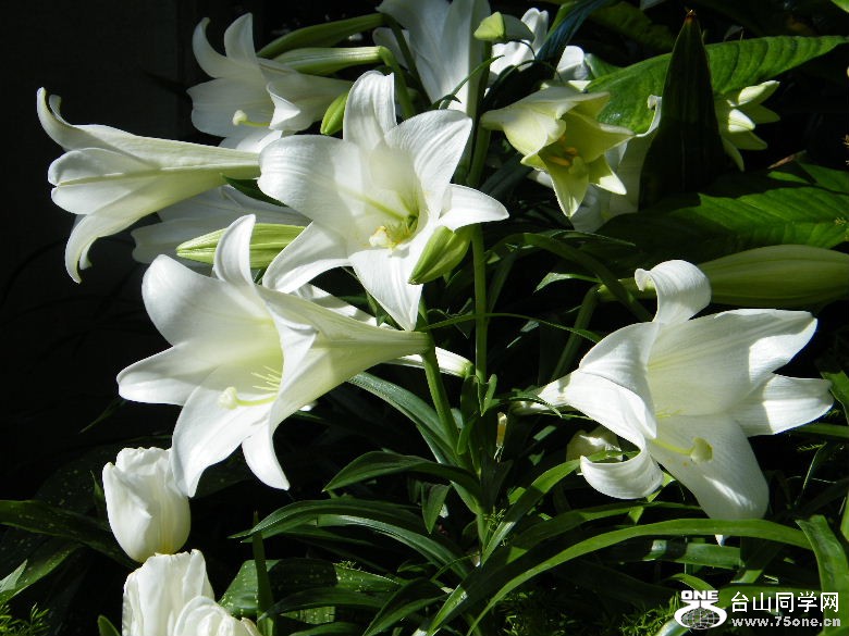 DSCF3122.JPG