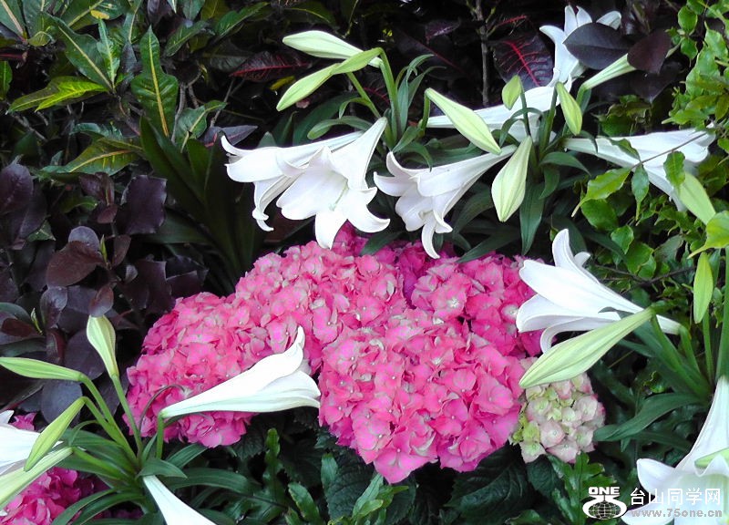 2012_040510052.JPG