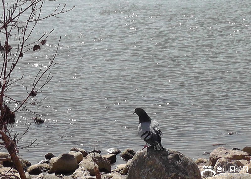 2012_040510137.JPG