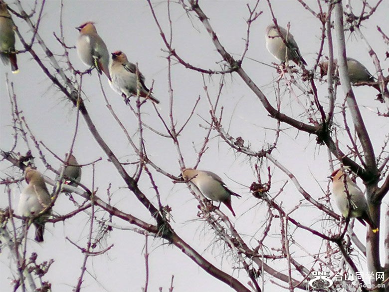 2012_040210109=0.jpg