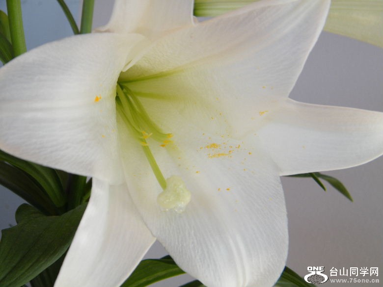 DSCF3115.JPG
