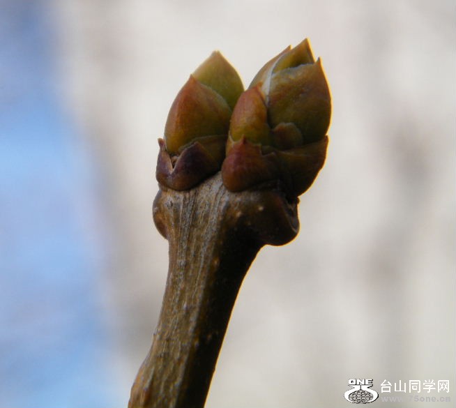 DSCF3089.JPG
