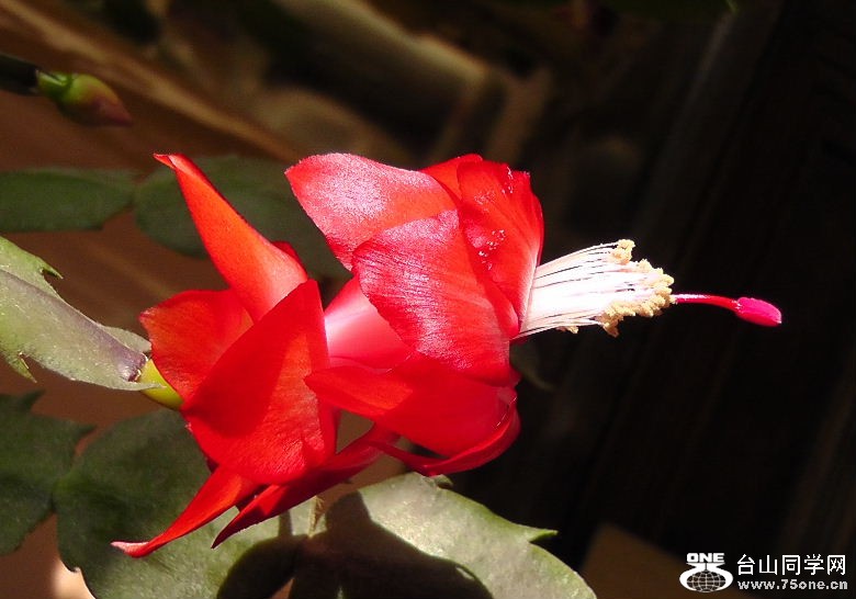 2012_040210074.JPG