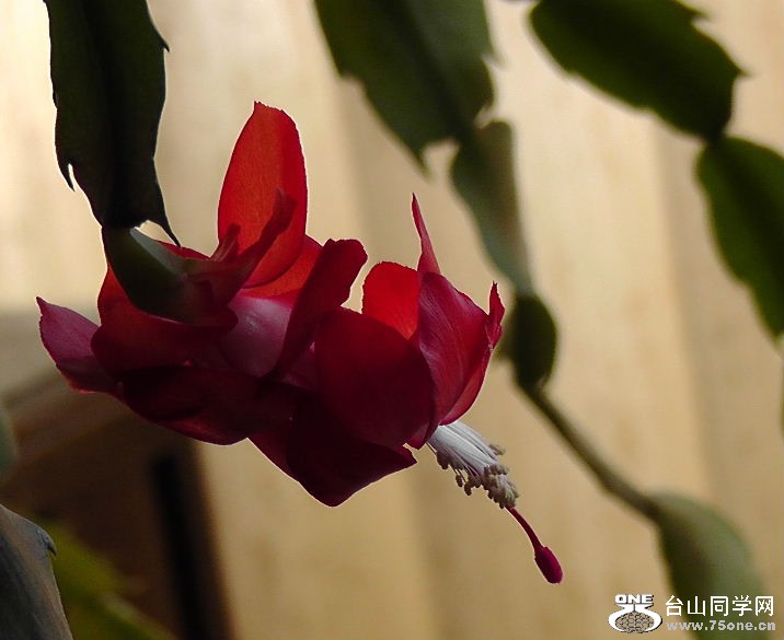 2012_040210078.JPG