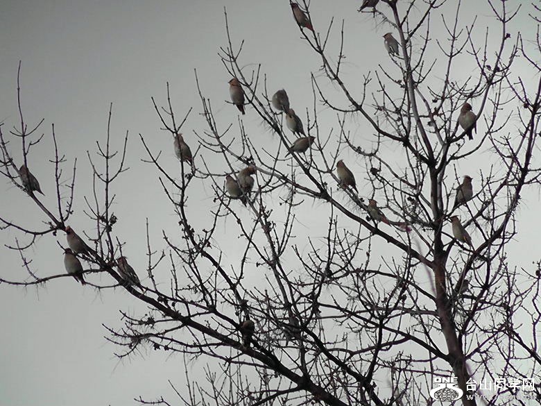 2012_040210113.jpg