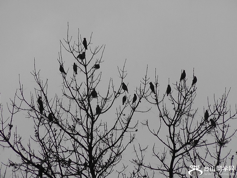 2012_040210095.JPG