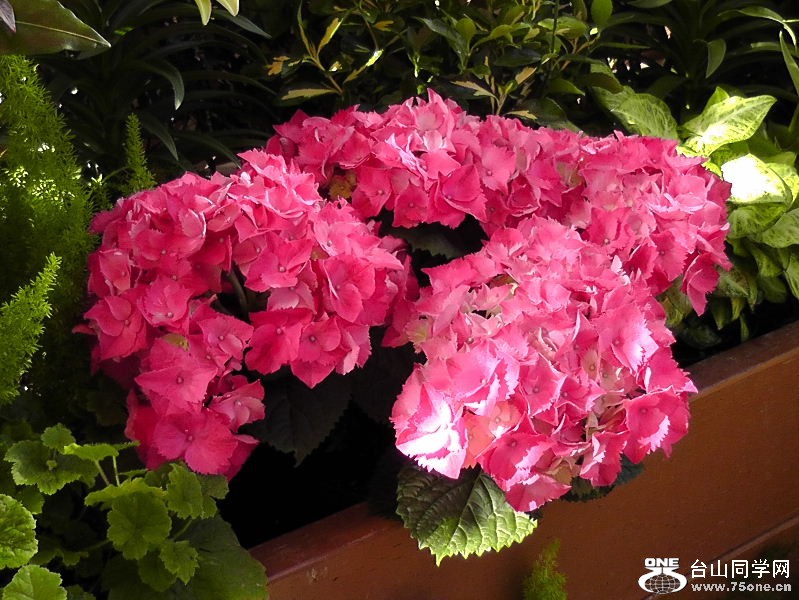 2012_040510048.JPG