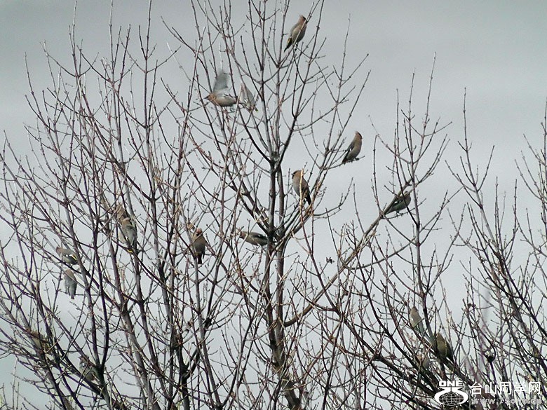2012_040210107.JPG