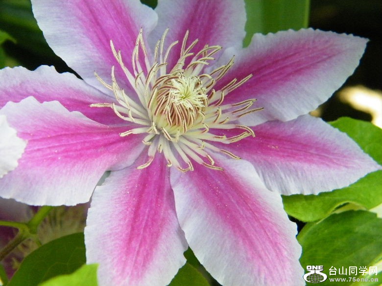 DSCF3125.JPG