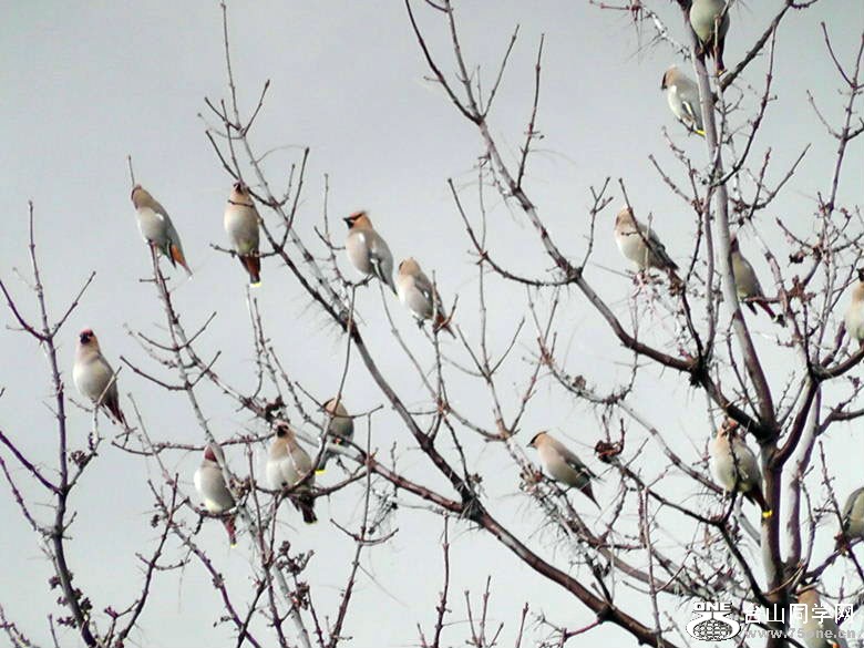 2012_040210108=.jpg