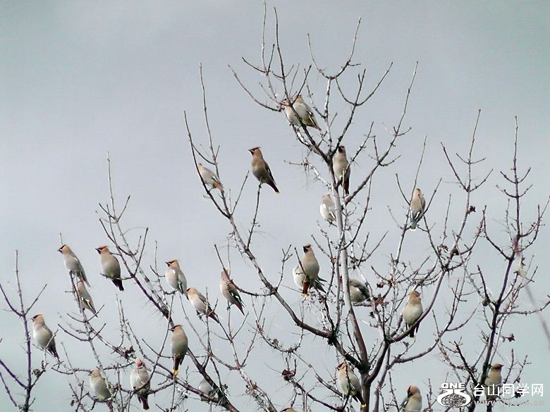 2012_040210106=.jpg