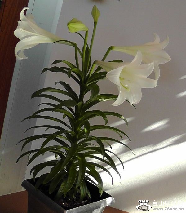 2012_040510024.JPG