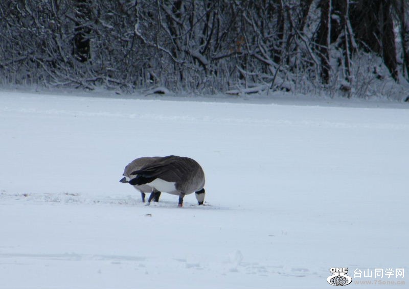 DSCF3299.JPG