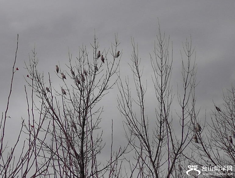 2012_040210104.JPG