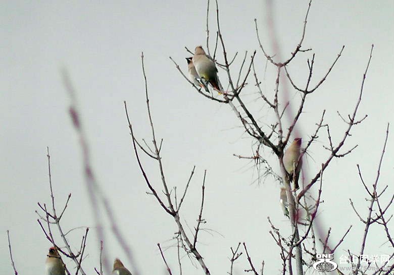2012_040210112=.jpg