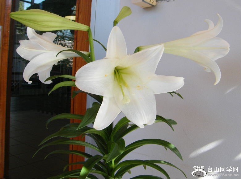DSCF3114.JPG