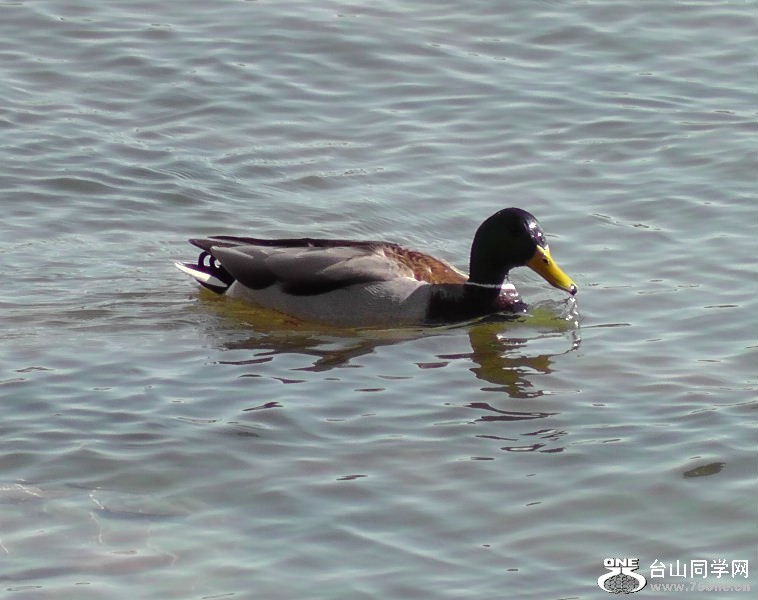 2012_040510130.JPG