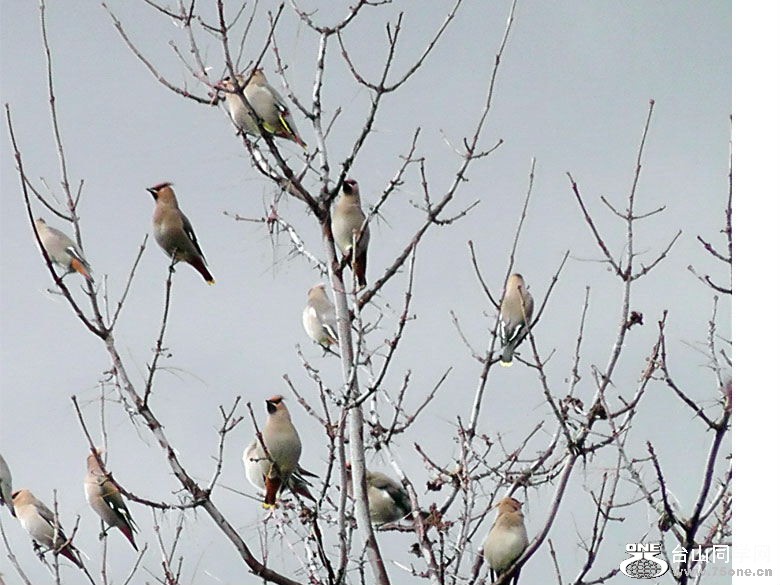 2012_040210106=1.jpg