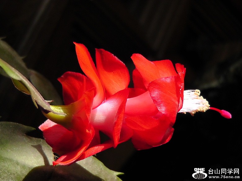 2012_040210075.JPG