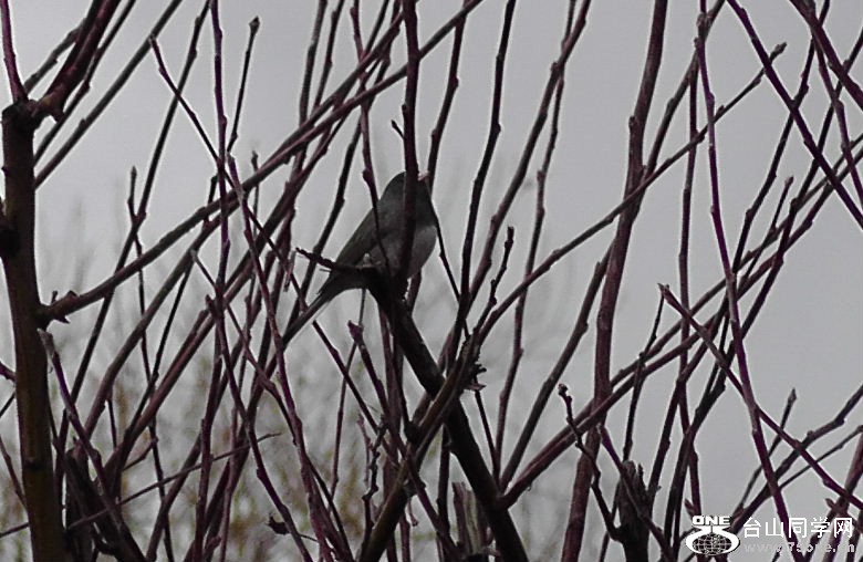 2012_040210102.JPG