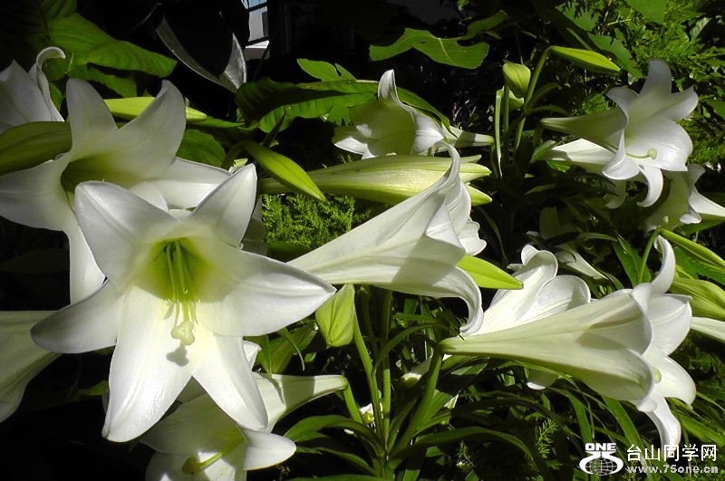 2012_040510040.JPG