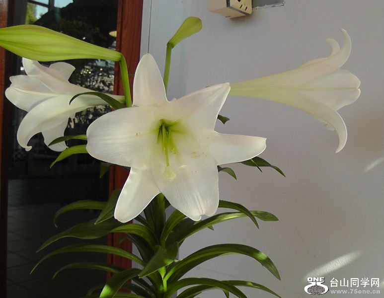 2012_040510025.JPG