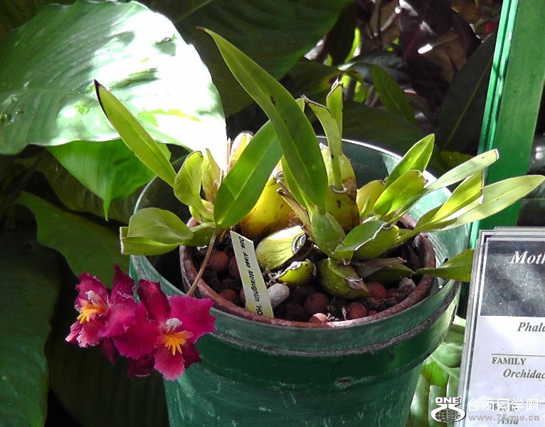 2012_040510036.JPG